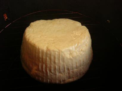 �C�^���A����,���Ɛ����R�b�^������